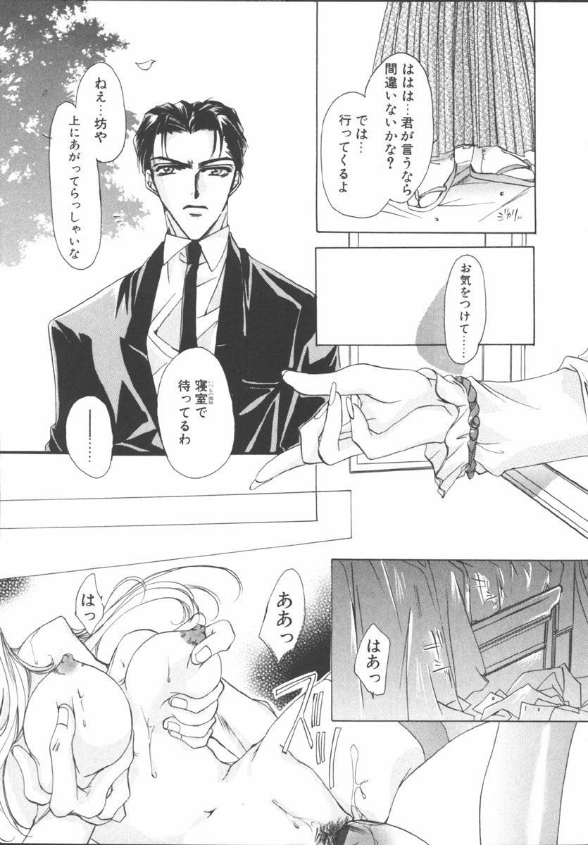 [桜井綾] マイ スウィート プラム