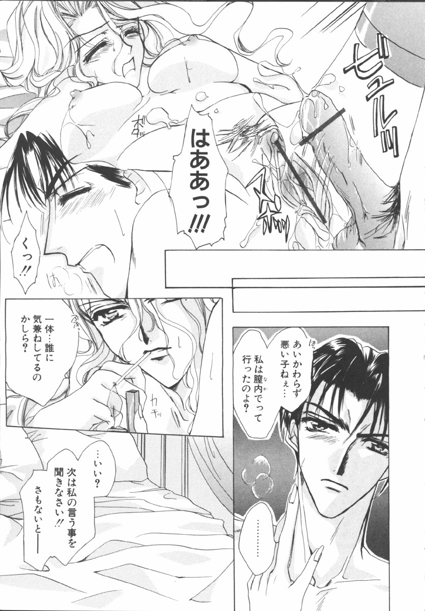 [桜井綾] マイ スウィート プラム