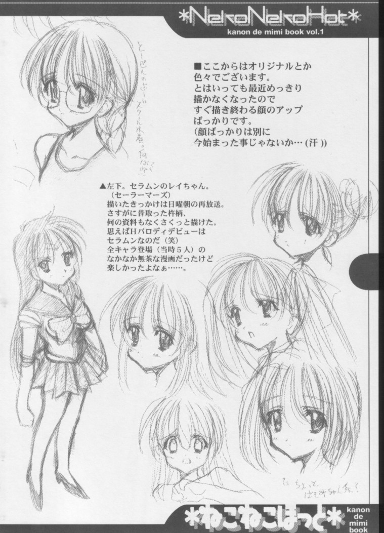 [阿修羅屋 (くしだあしゅら)] ねこねこほっと (カノン)