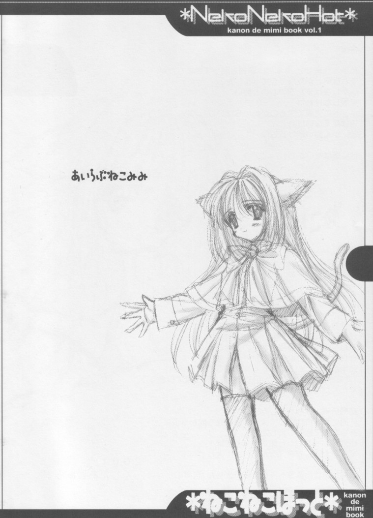 [阿修羅屋 (くしだあしゅら)] ねこねこほっと (カノン)