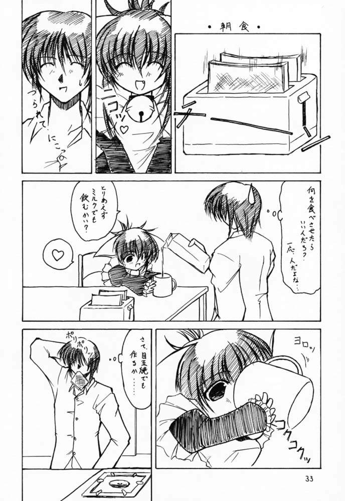 (Cレヴォ29) [たかねの花園 (たかねのはな)] Elixir (シスタープリンセス)