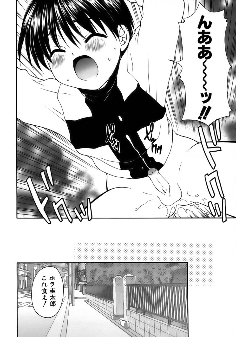 [アンソロジー] 少年愛の美学17 THEわんぱく少年