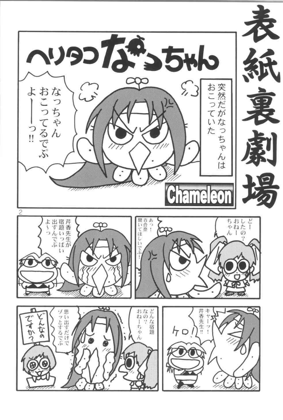 [ぶんちん堂 (ぶんちん)] WILD P7