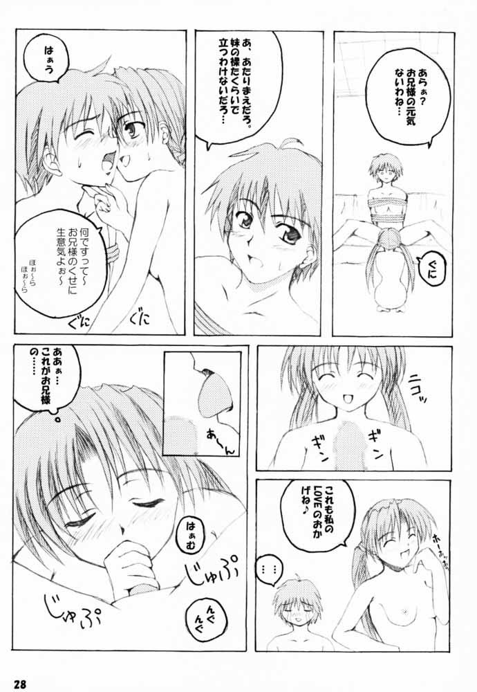 (C60) [杉屋 (すぎいつかさ)] SISTER COMPLEX (With You ～みつめていたい～、シスター・プリンセス)