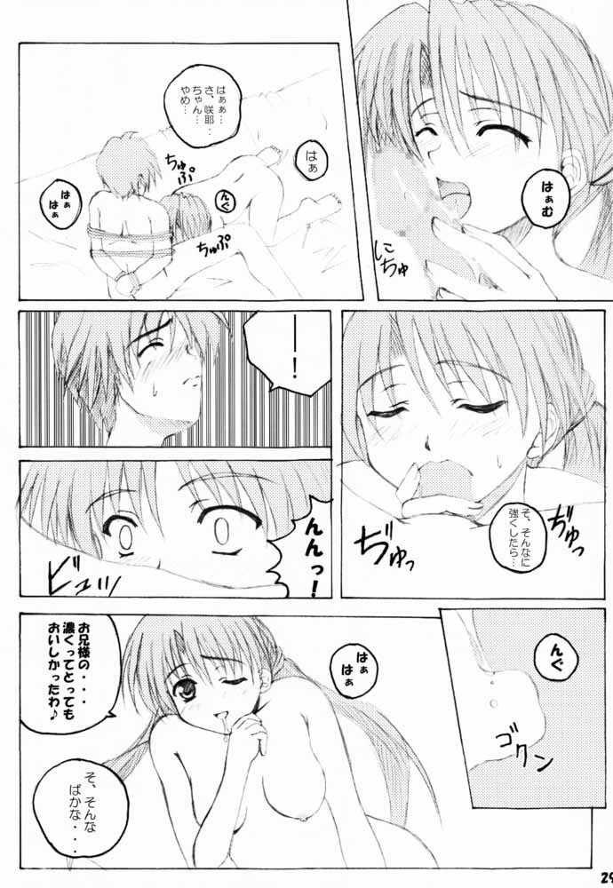 (C60) [杉屋 (すぎいつかさ)] SISTER COMPLEX (With You ～みつめていたい～、シスター・プリンセス)
