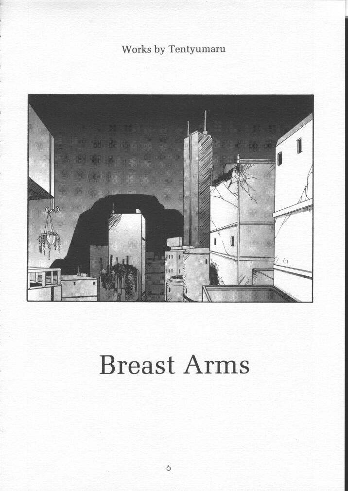 [天山工房] BREAST ARMS