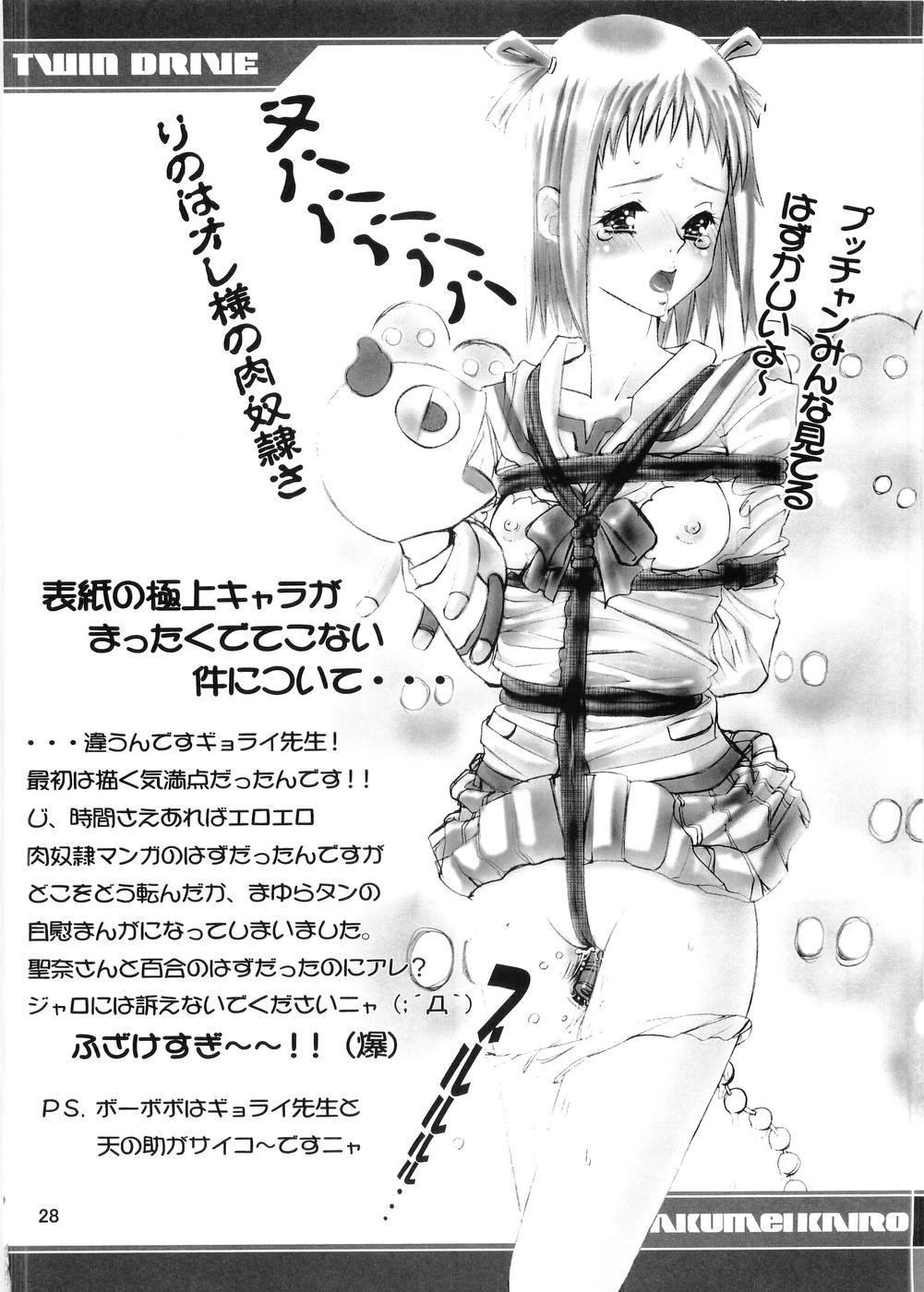 [革命回路] TWIN DRIVE