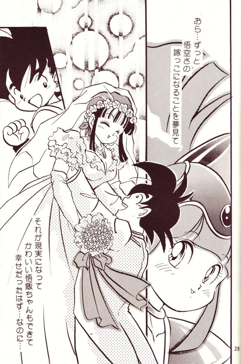 (C44) [Y.M.戦車 (よしだよしみ、松本姫美子)] 危険地帯 (ドラゴンボールZ)