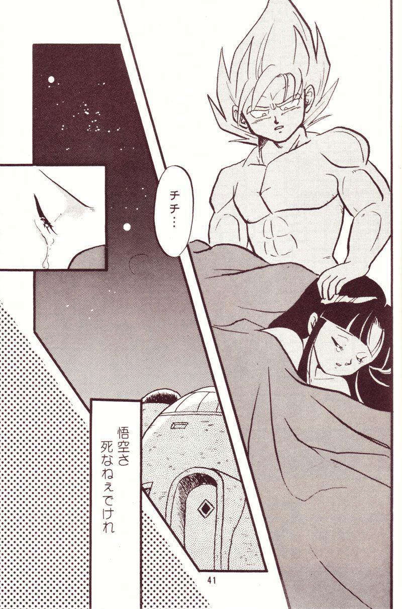 (C44) [Y.M.戦車 (よしだよしみ、松本姫美子)] 危険地帯 (ドラゴンボールZ)