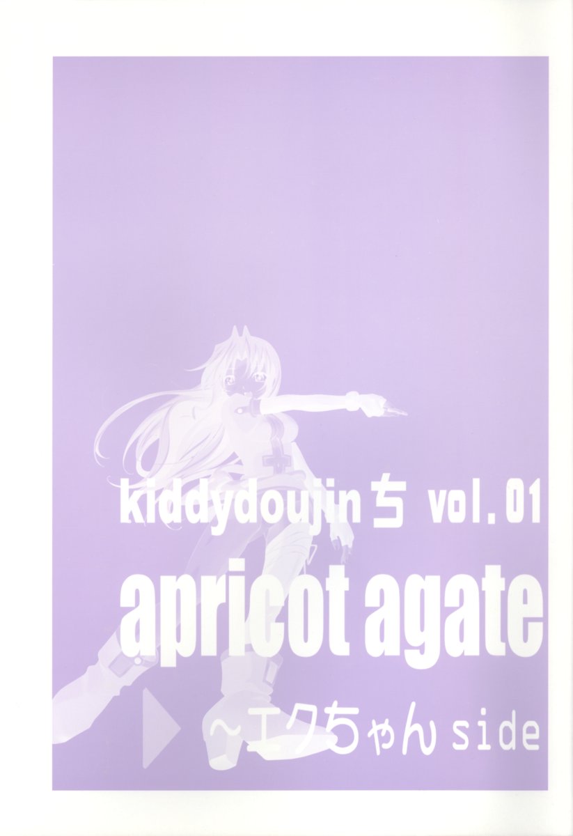 (C63) [彩-aya-、ちびっこ改造団 (伴久豊)] apricot agate～エクちゃんside (キディグレイド)