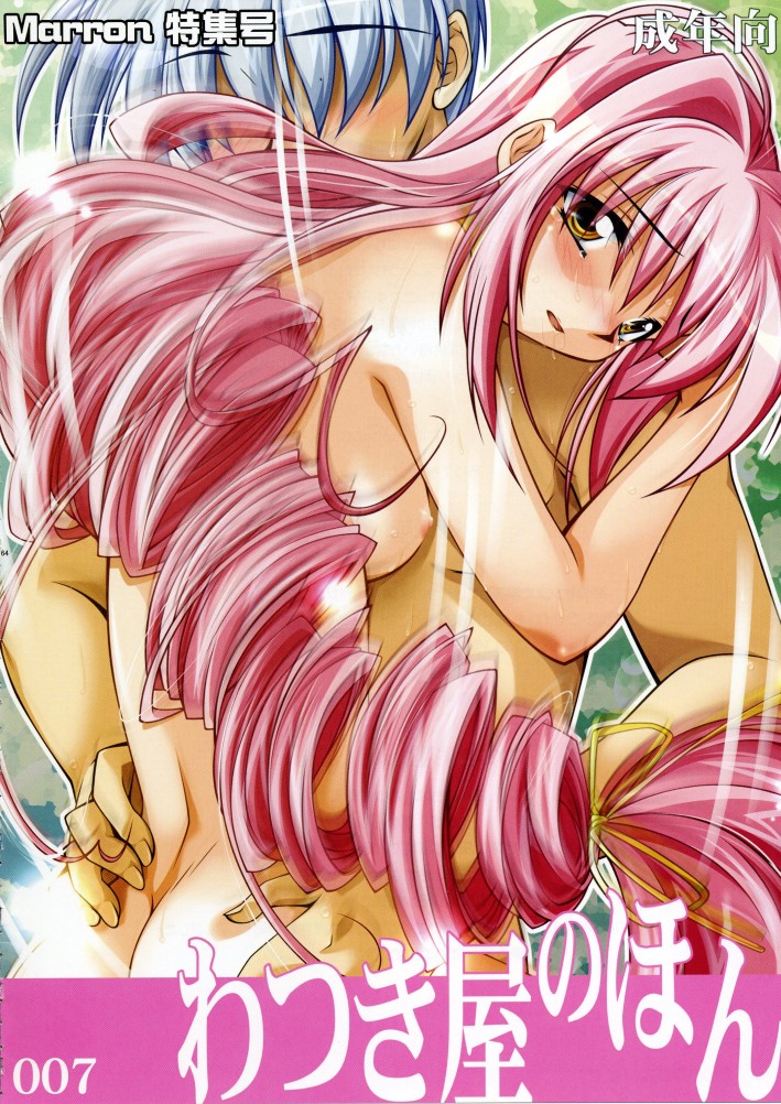 (C70) [わつき屋 (わつき彩雲)] わつき屋のほん 総集編3 (KEY)