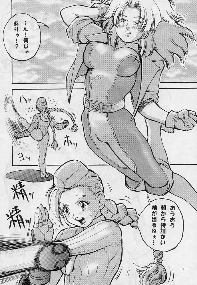 (C51) [D.G.S (戦国くん)] 戦國2 (キング・オブ・ファイターズ, ストリートファイター)