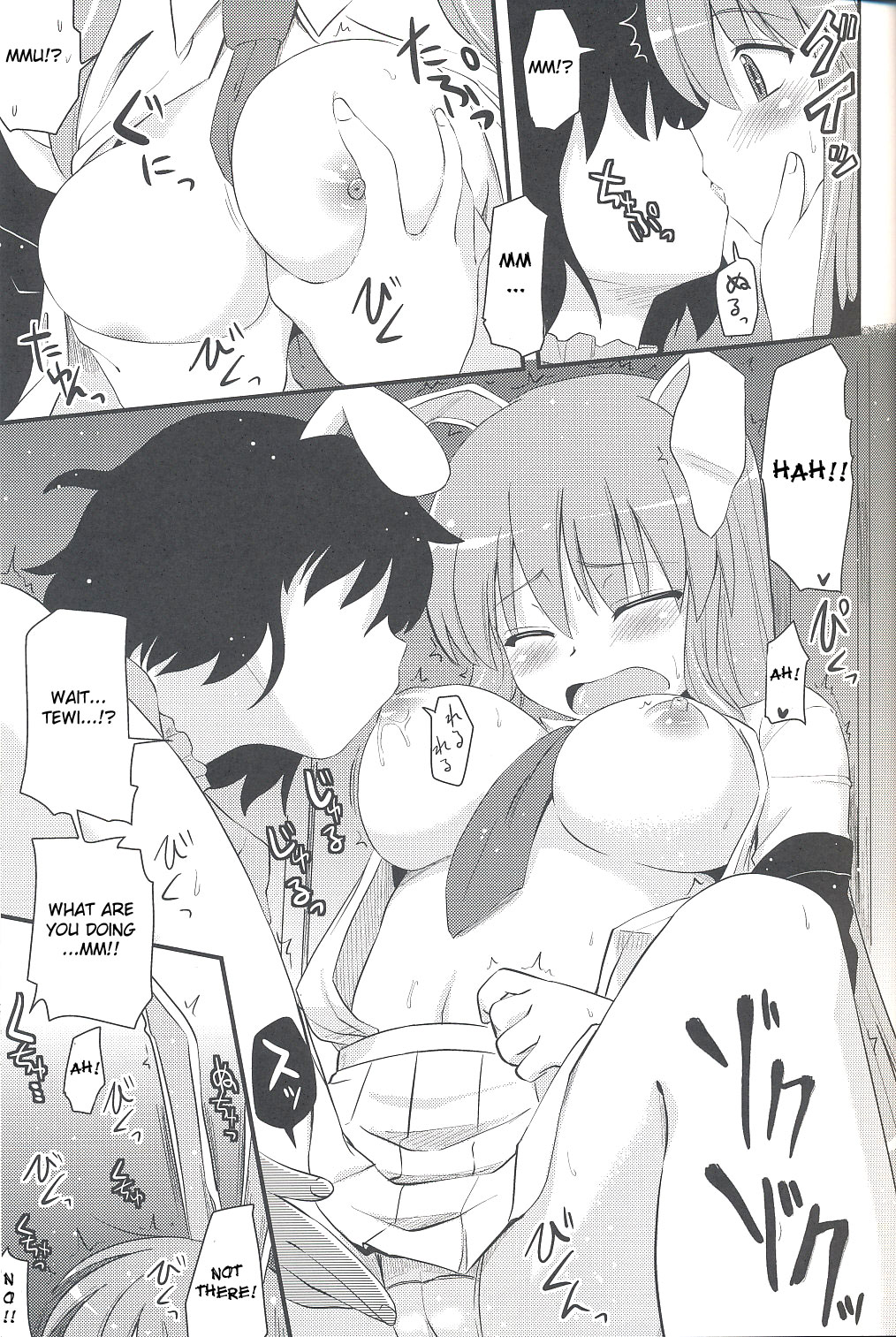 (東方崇敬祭) [真・聖堂☆本舗 (聖☆司)] 兎の見る夢 (東方Project) [英訳]