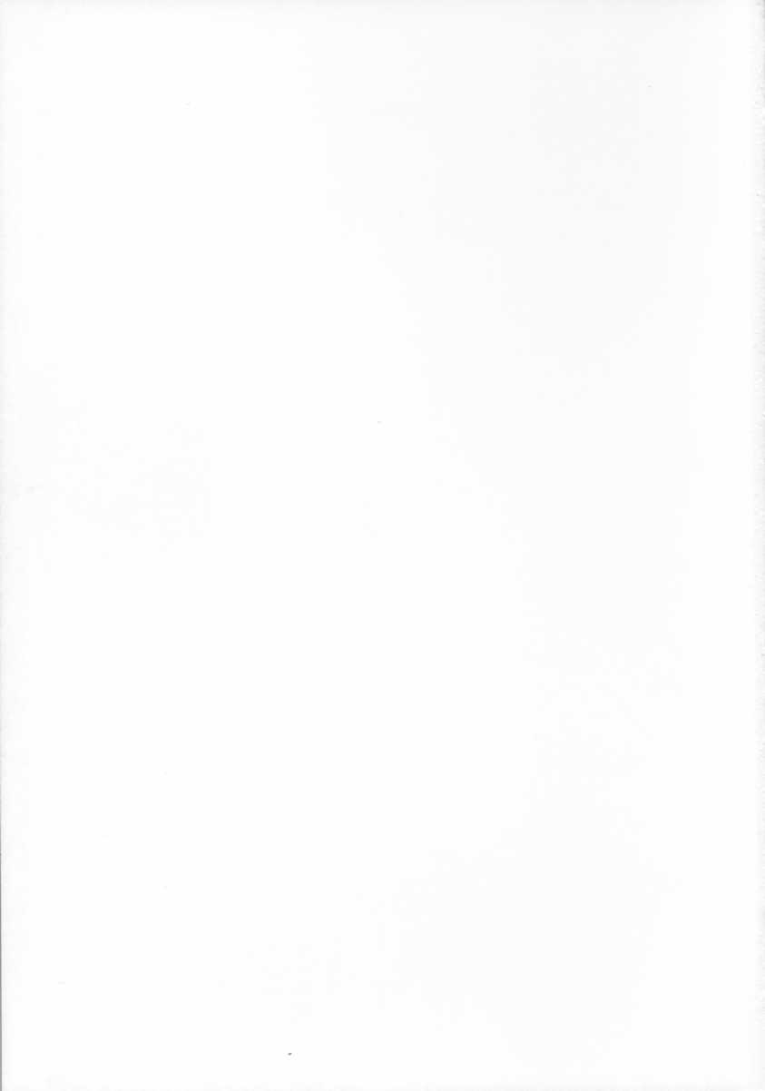 [スタジオリテイク (綾小路はるか / 小林正和 / 滝本悟) The cross of a rouge (キディグレイド)