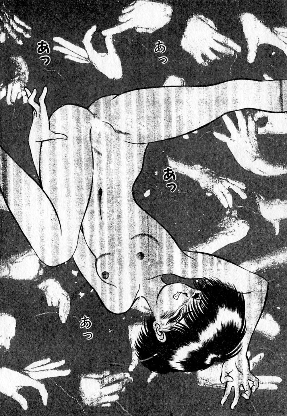 [鋭利菊] ショートカット 2