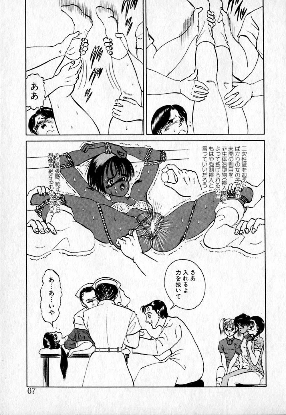 [鋭利菊] ショートカット 2