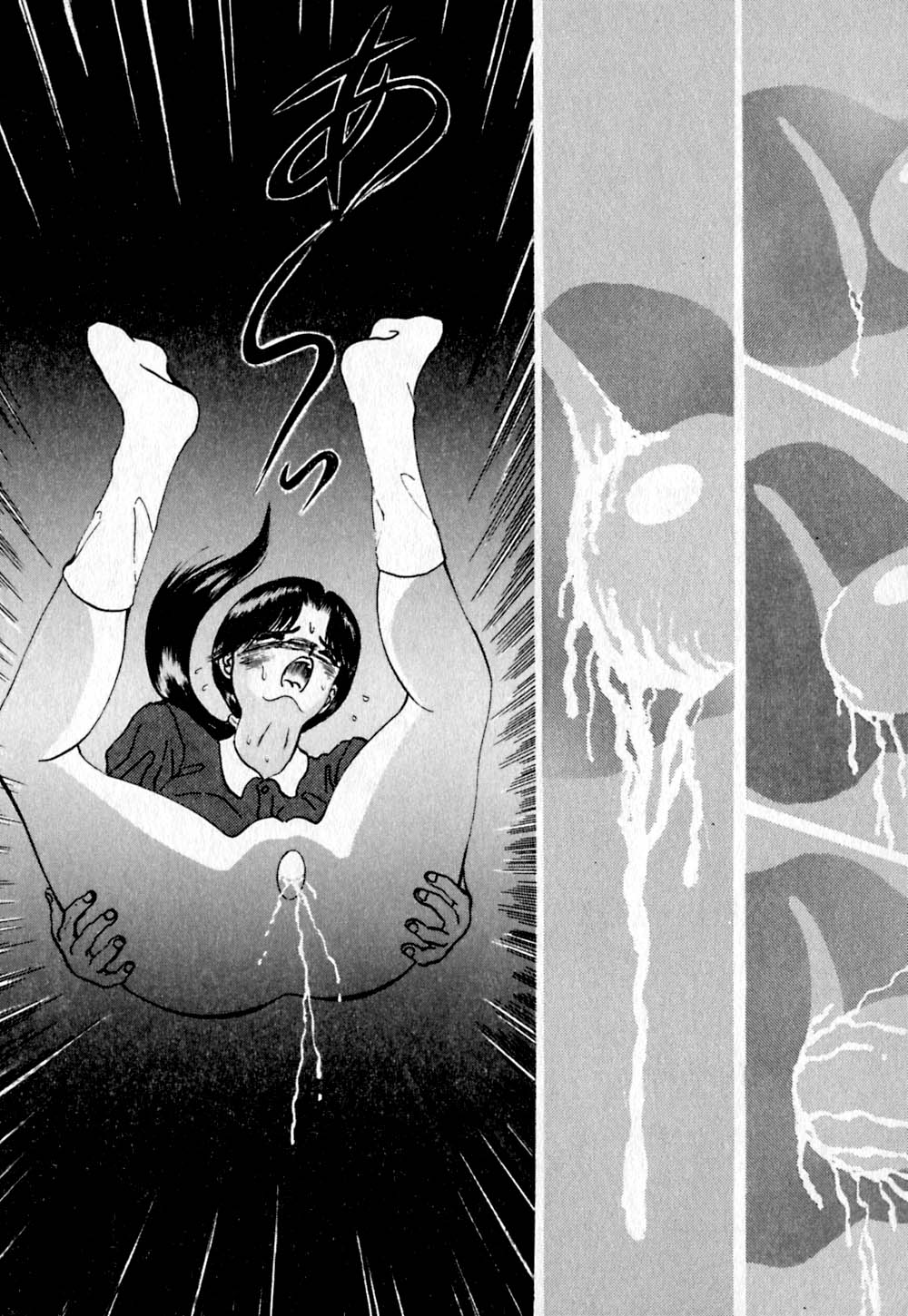 [鋭利菊] ショートカット 2