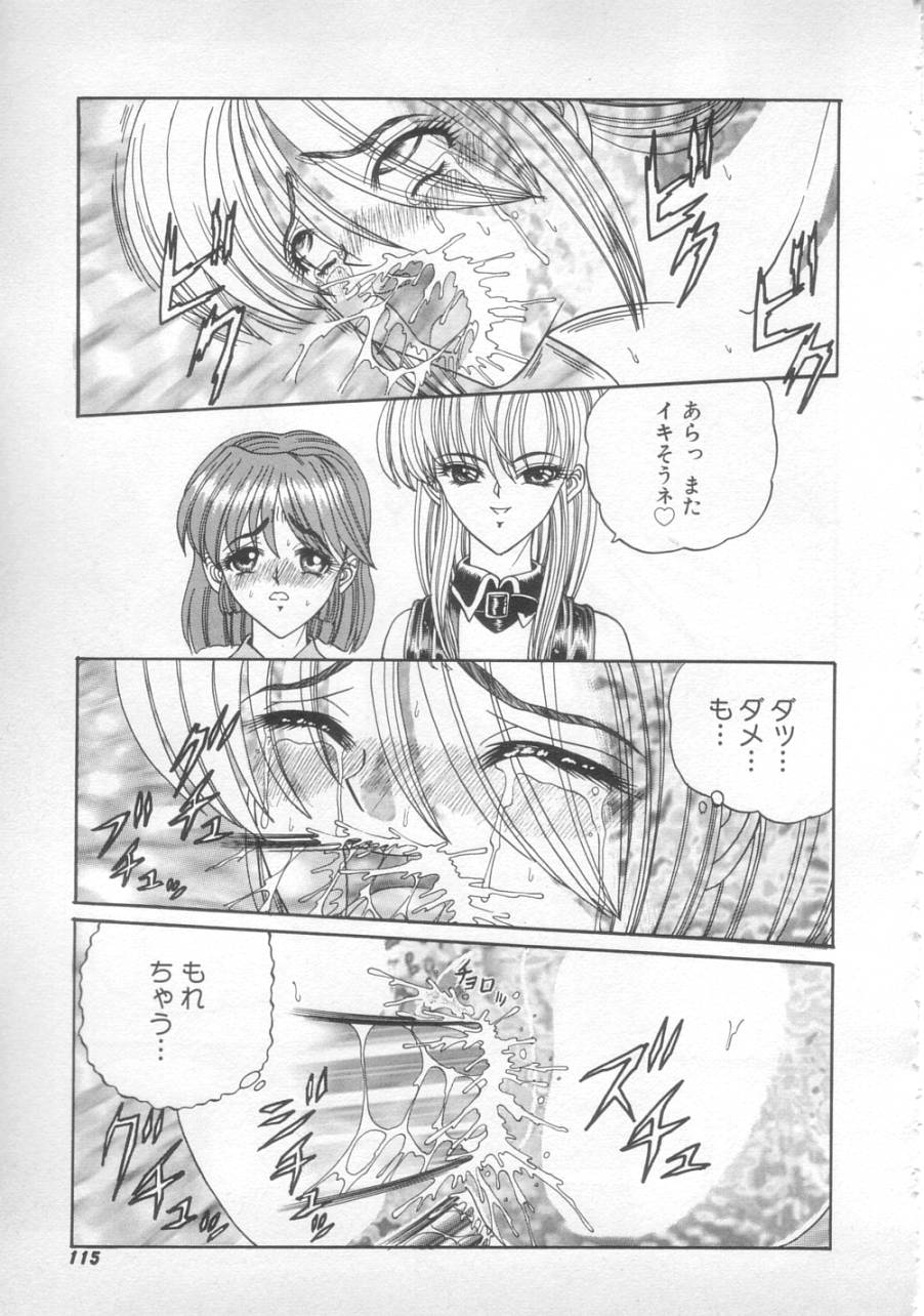 [SHION] サンセット ムーン