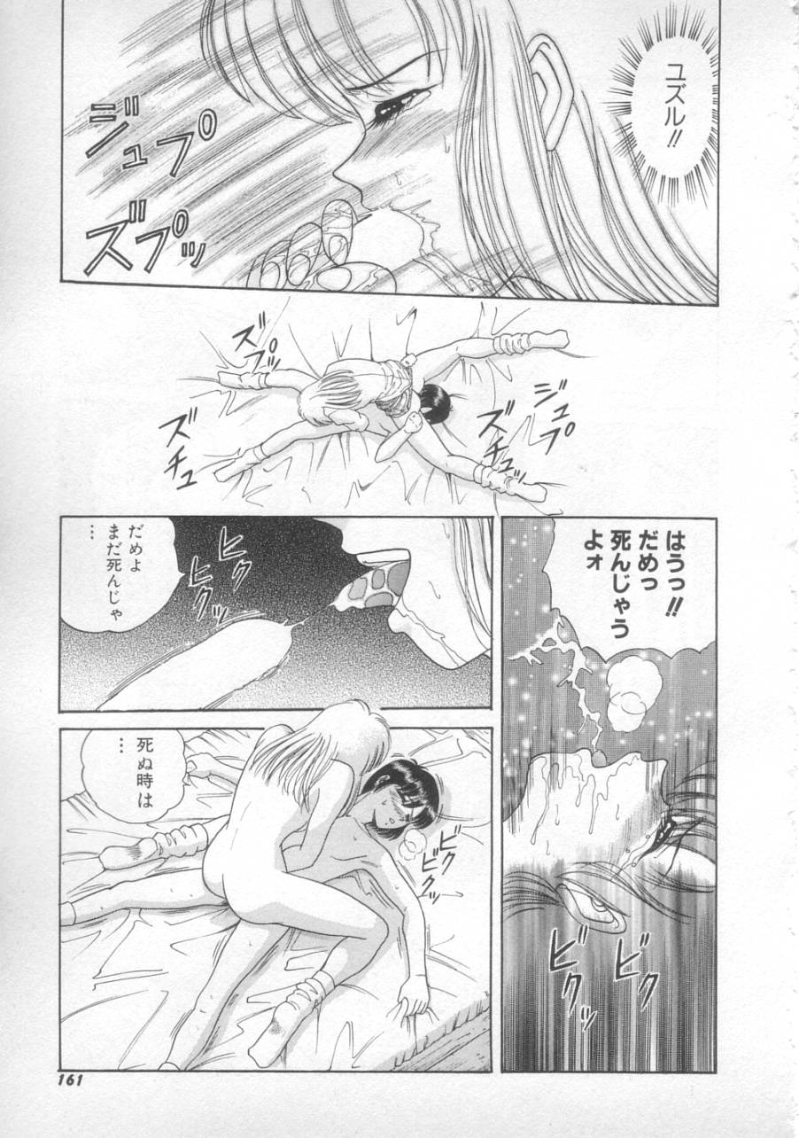 [SHION] サンセット ムーン