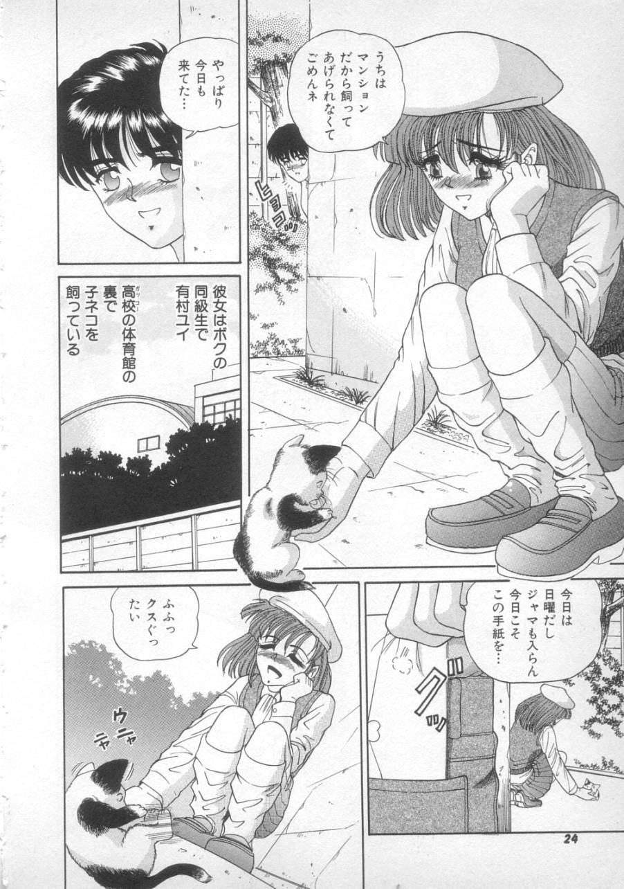 [SHION] サンセット ムーン