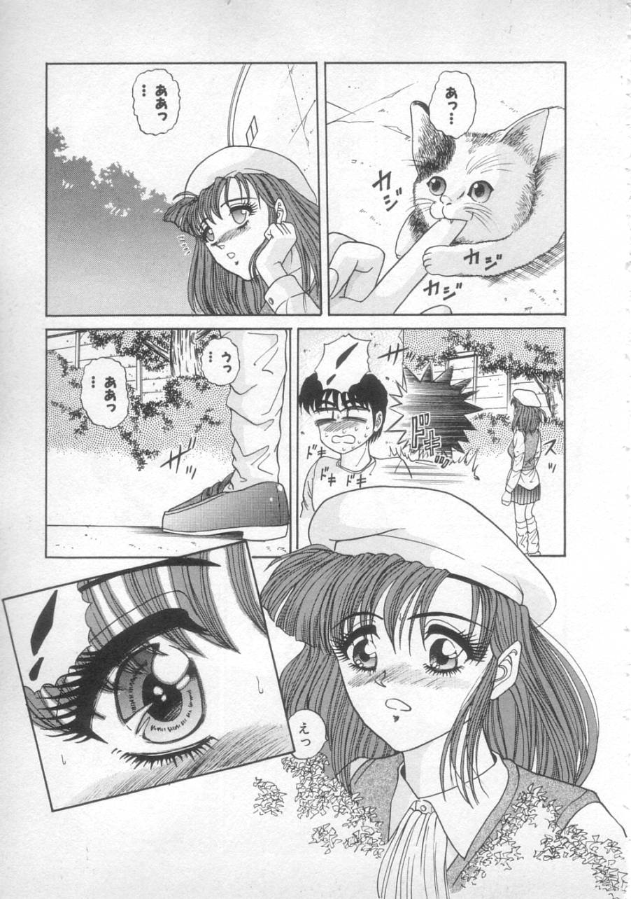 [SHION] サンセット ムーン