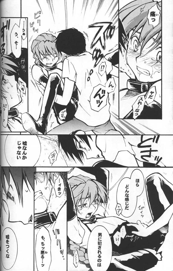 [KAMADO屋, サテライトU (不破仮月, 折賀進)] 奇妙な果実 (新機動戦記ガンダムW)