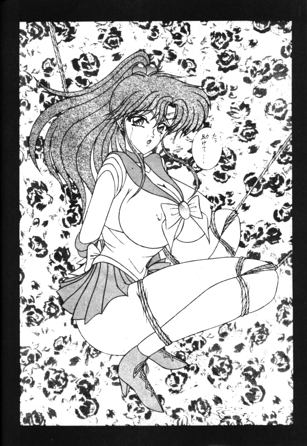 セーラーX第1巻（美少女戦士セーラームーン）