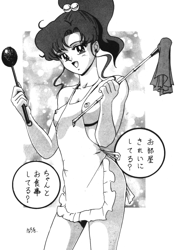 セーラーX第1巻（美少女戦士セーラームーン）