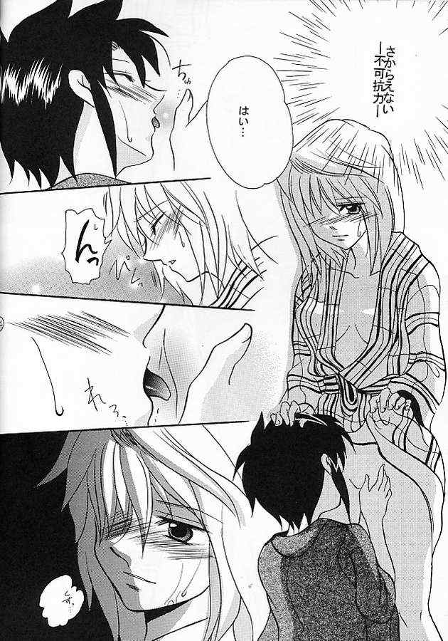 【玉斎島】戦隊ください【Fate / staynight】