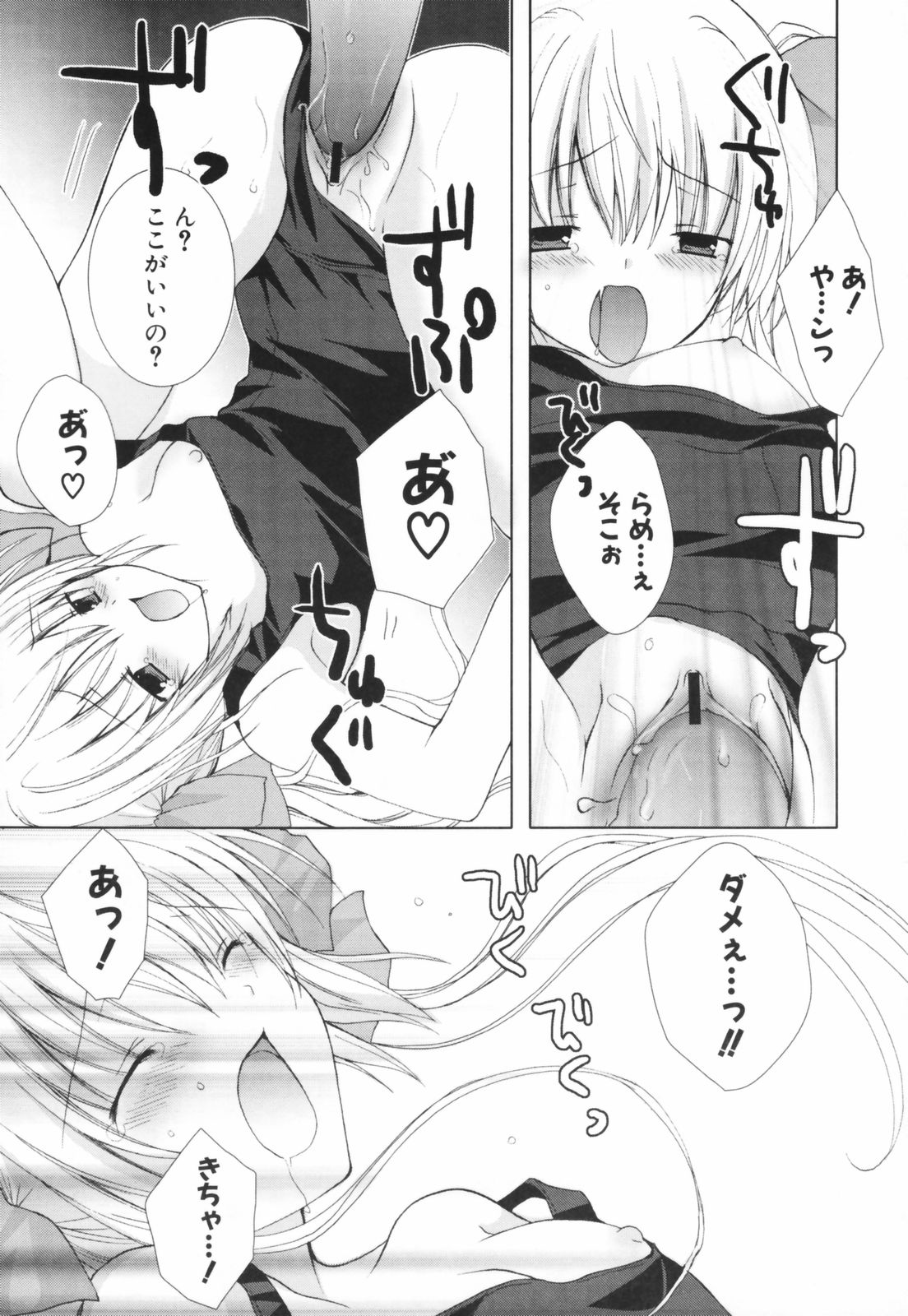 [シロガネヒナ] ヒナコレ。