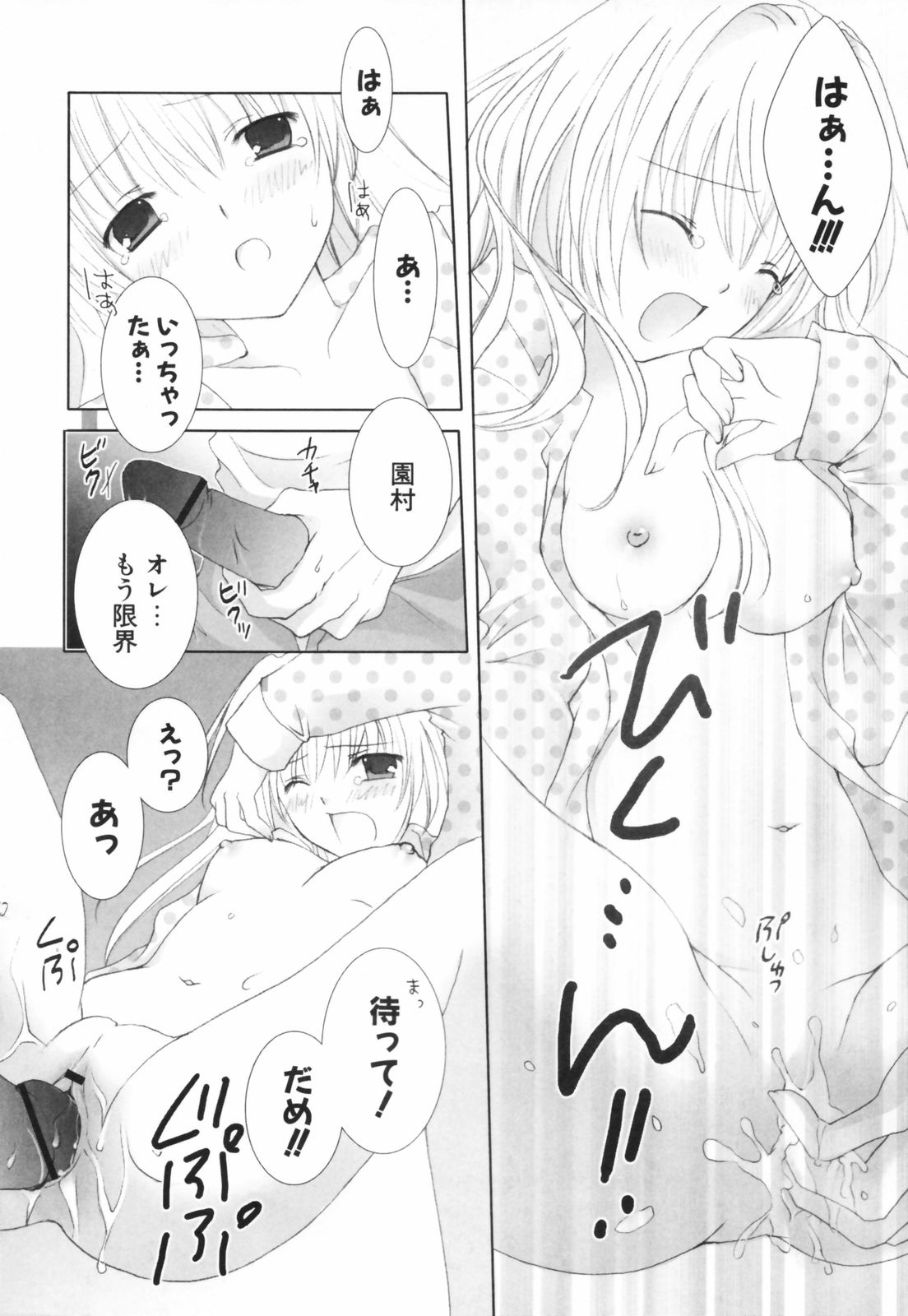 [シロガネヒナ] ヒナコレ。