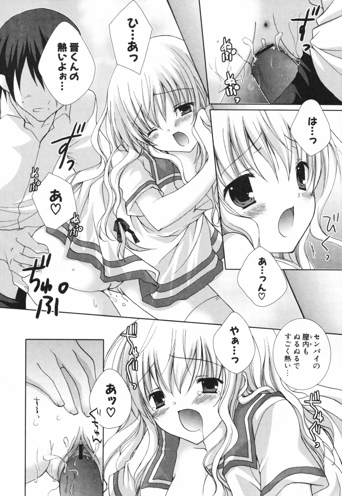 [シロガネヒナ] ヒナコレ。