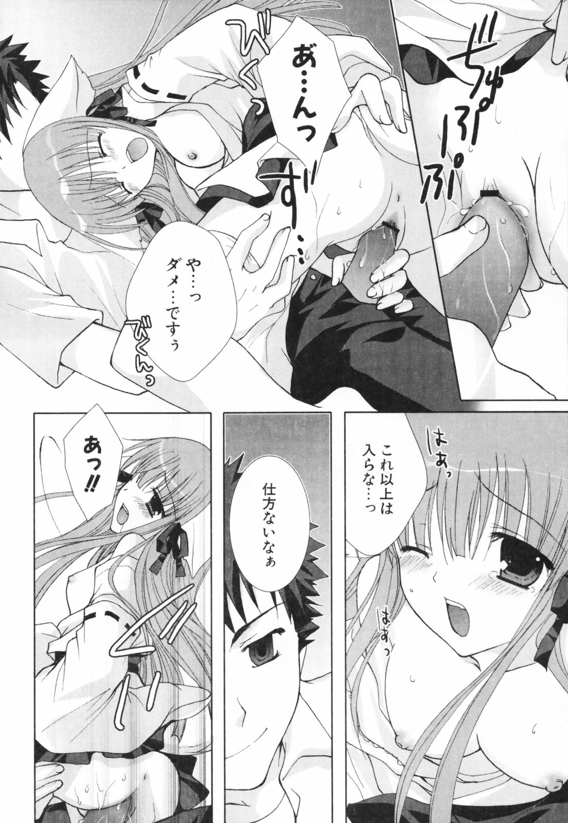 [シロガネヒナ] ヒナコレ。