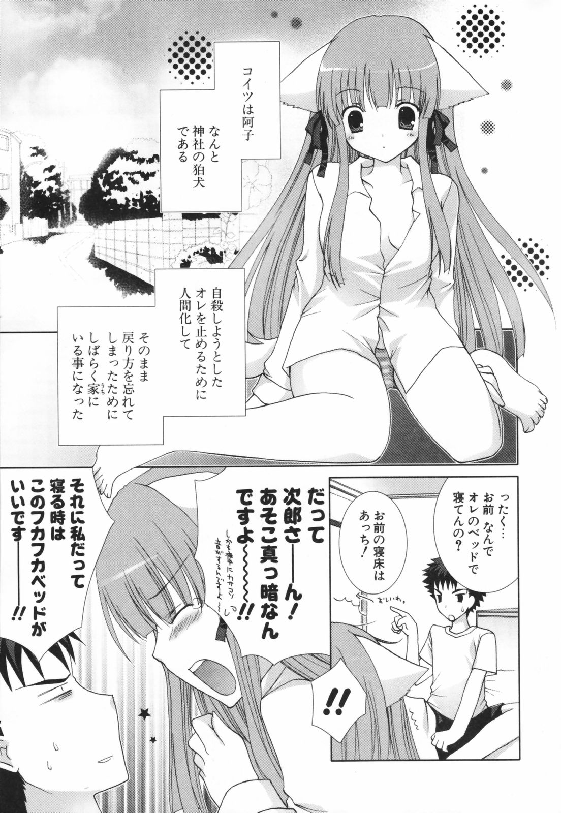 [シロガネヒナ] ヒナコレ。