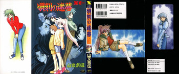 [山文京伝] 頃刻の迷夢