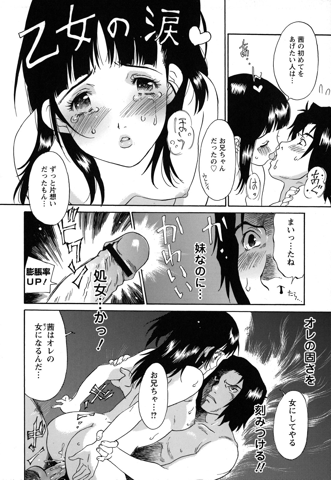 [やまのべきった] 妹という名の牝