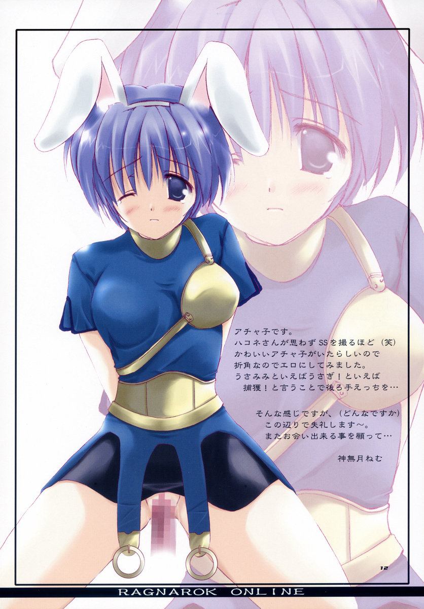 (Cレヴォ34) [VISTA、A.L.C (オダワラハコネ、神無月ねむ)] OVER THRUST!! (ラグナロクオンライン)