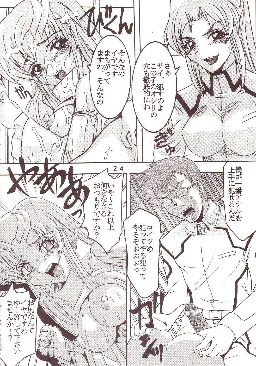 [聖リオ (キ帝ィ、ティマ)] SEED 5 (機動戦士ガンダムSEED)