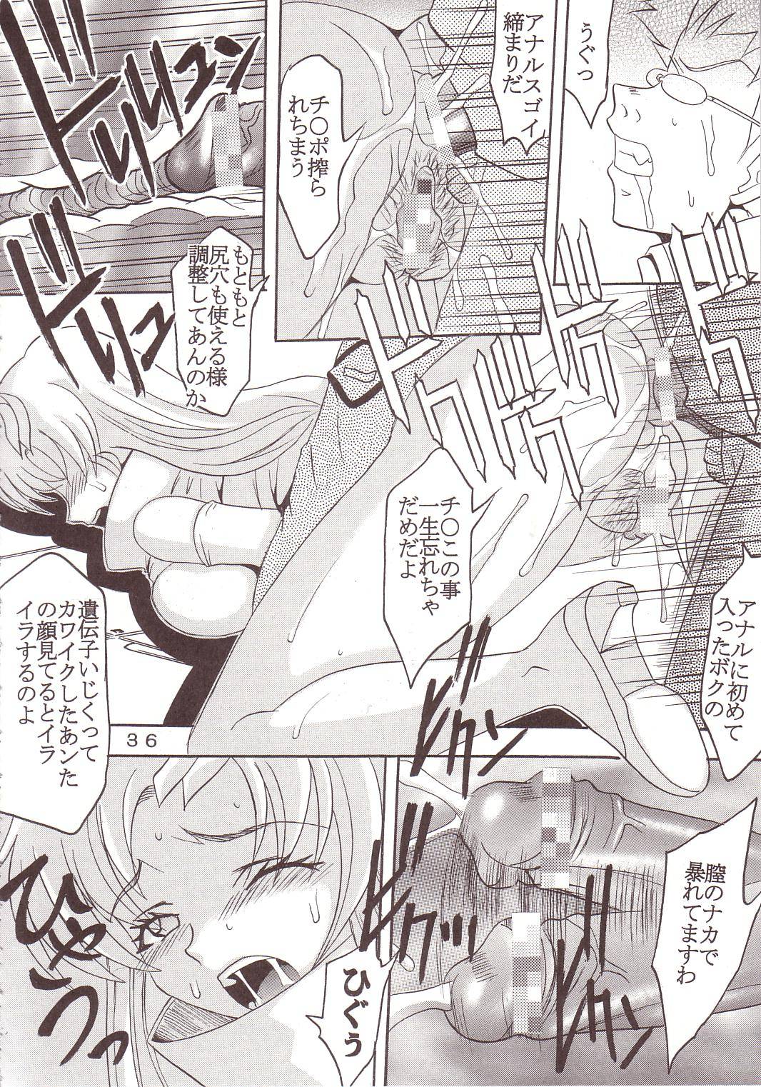 [聖リオ (キ帝ィ、ティマ)] SEED 5 (機動戦士ガンダムSEED)