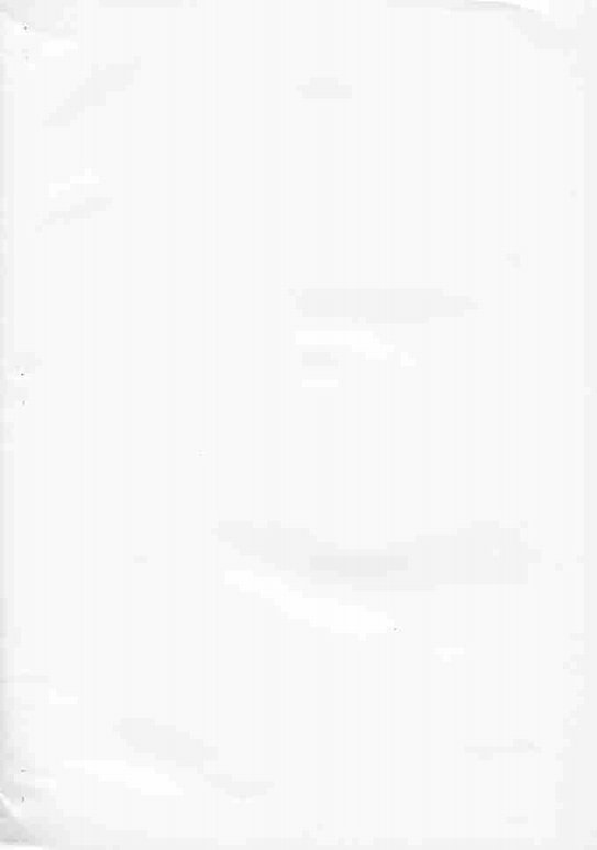 (Cレヴォ36) [サルヴェージ工房 (鳳凰たん)] 志穂15発目。 (ふたりはプリキュア)