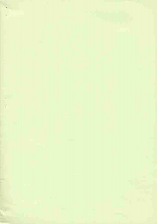 (Cレヴォ36) [サルヴェージ工房 (鳳凰たん)] 志穂15発目。 (ふたりはプリキュア)