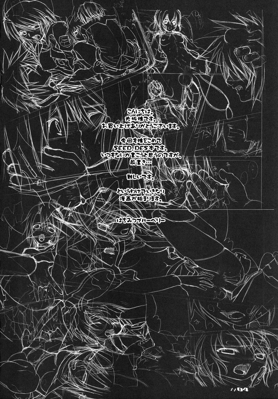 (C68) [大坂魂 (うげっぱ、愛山寿一、うず) UGANDA mk2 (機動戦士ガンダムSEED DESTINY)