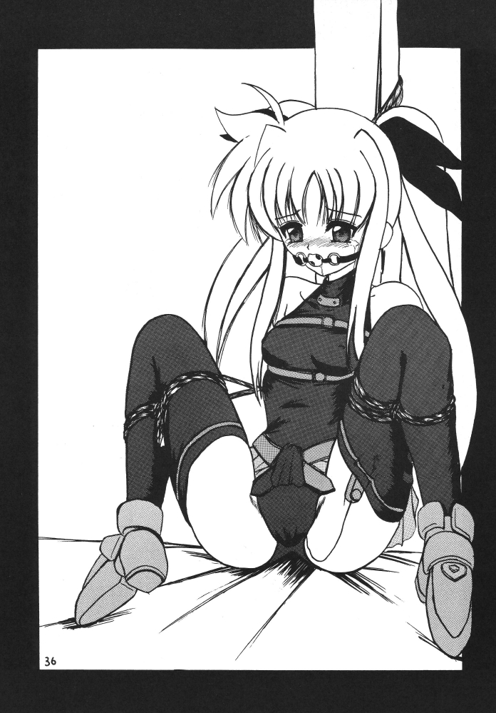 [サーティセイバーストリート2Dシューティング] ストレージイグニッション 3 (魔法少女リリカルなのは)