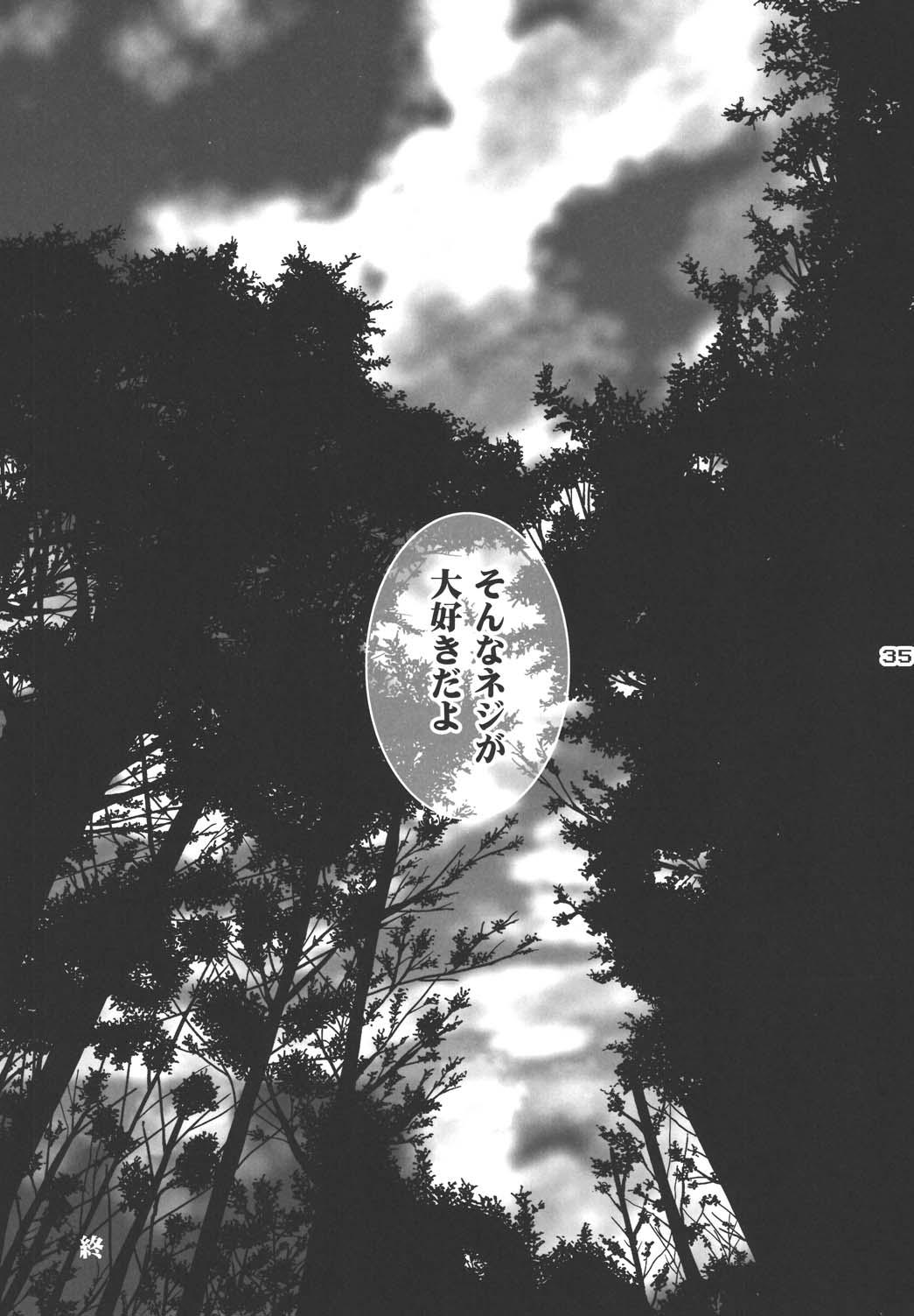 (C68) [Harem (水月ハニー)] Ninja Girl's Diary (NARUTO -ナルト-)