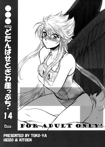 (C74) [床子屋 (HEIZO、鬼頭えん)] どたんばせとぎわ崖っぷち・14 (ブレスオブファイアII)