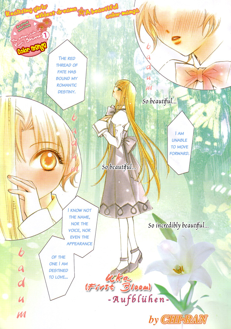 【ちらん】Girl´s Love -shoujo bigaku-（英語）