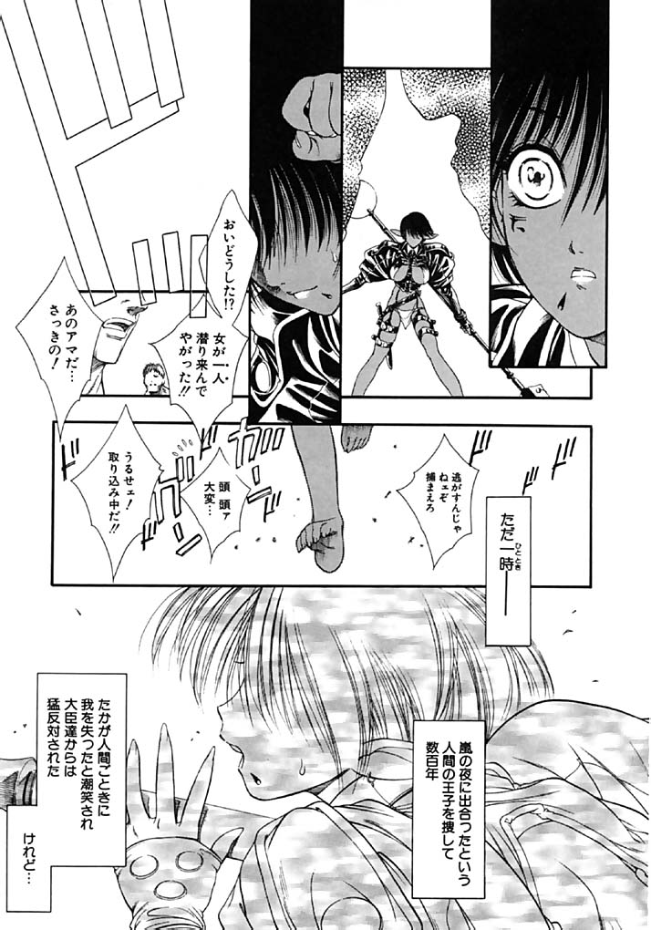 【但馬安江】マーメイドレイン