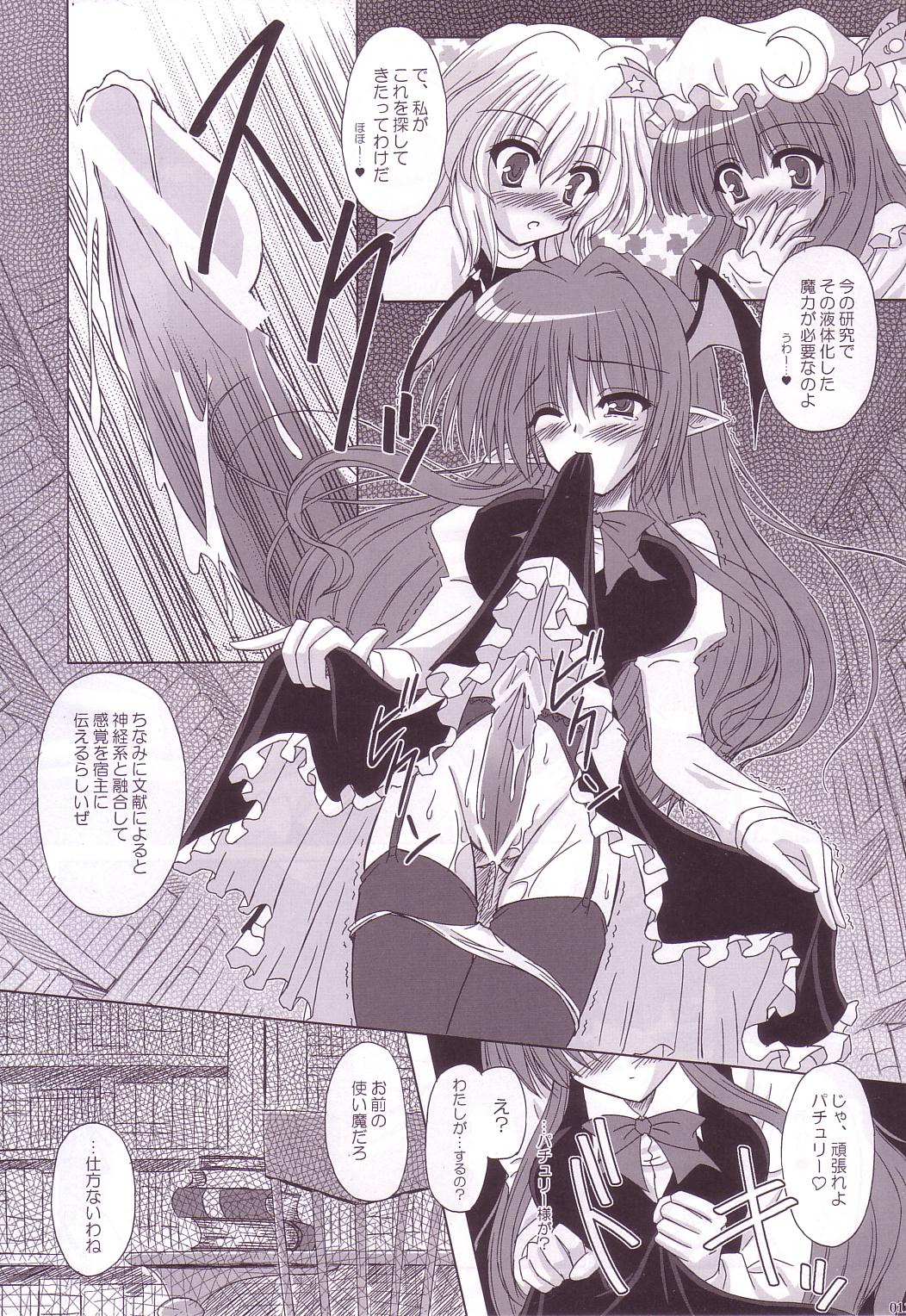 (C74) [Reverse Noise (やむっ)] Lunatic Library (東方Project)