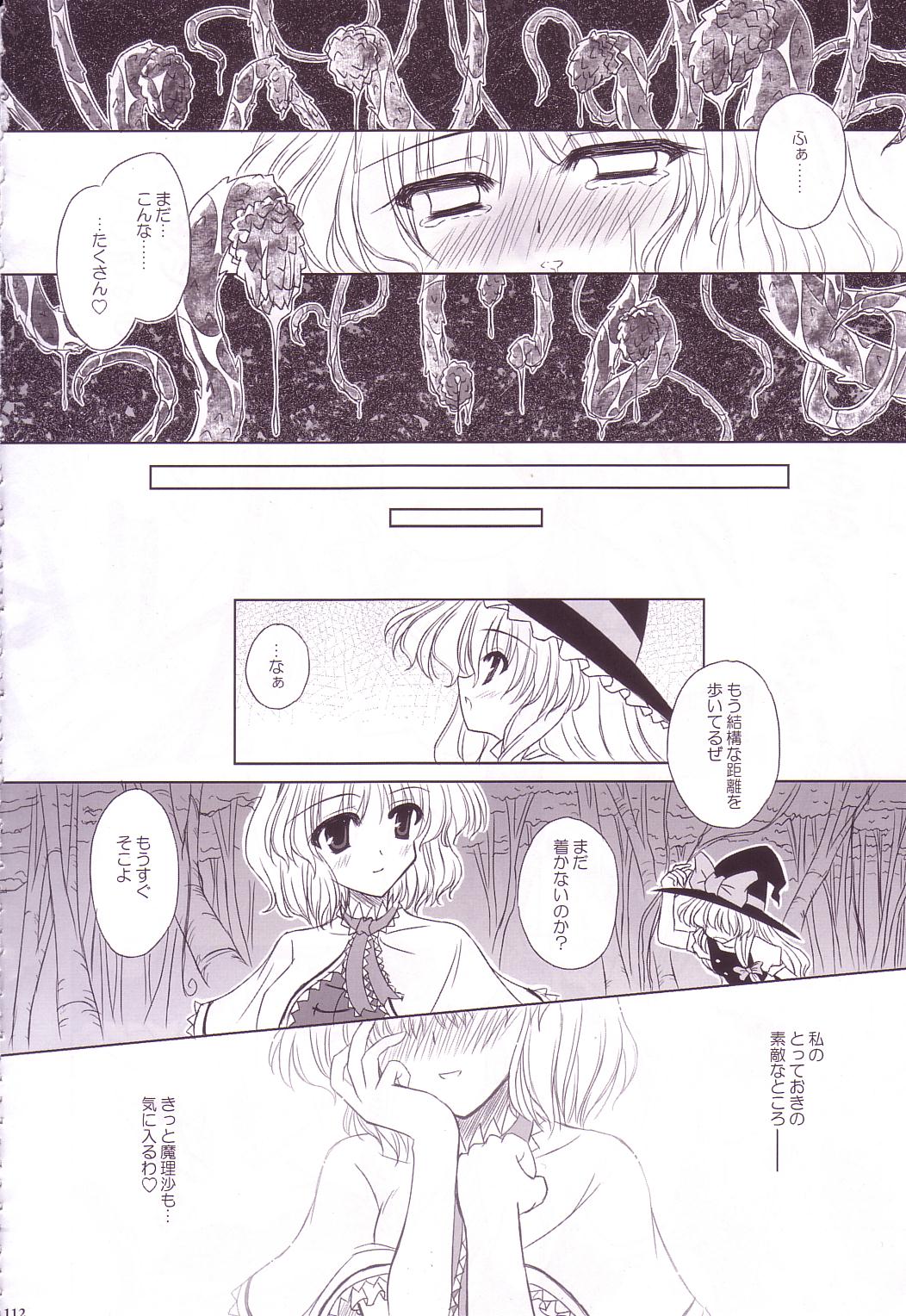 (C74) [Reverse Noise (やむっ)] Lunatic Library (東方Project)