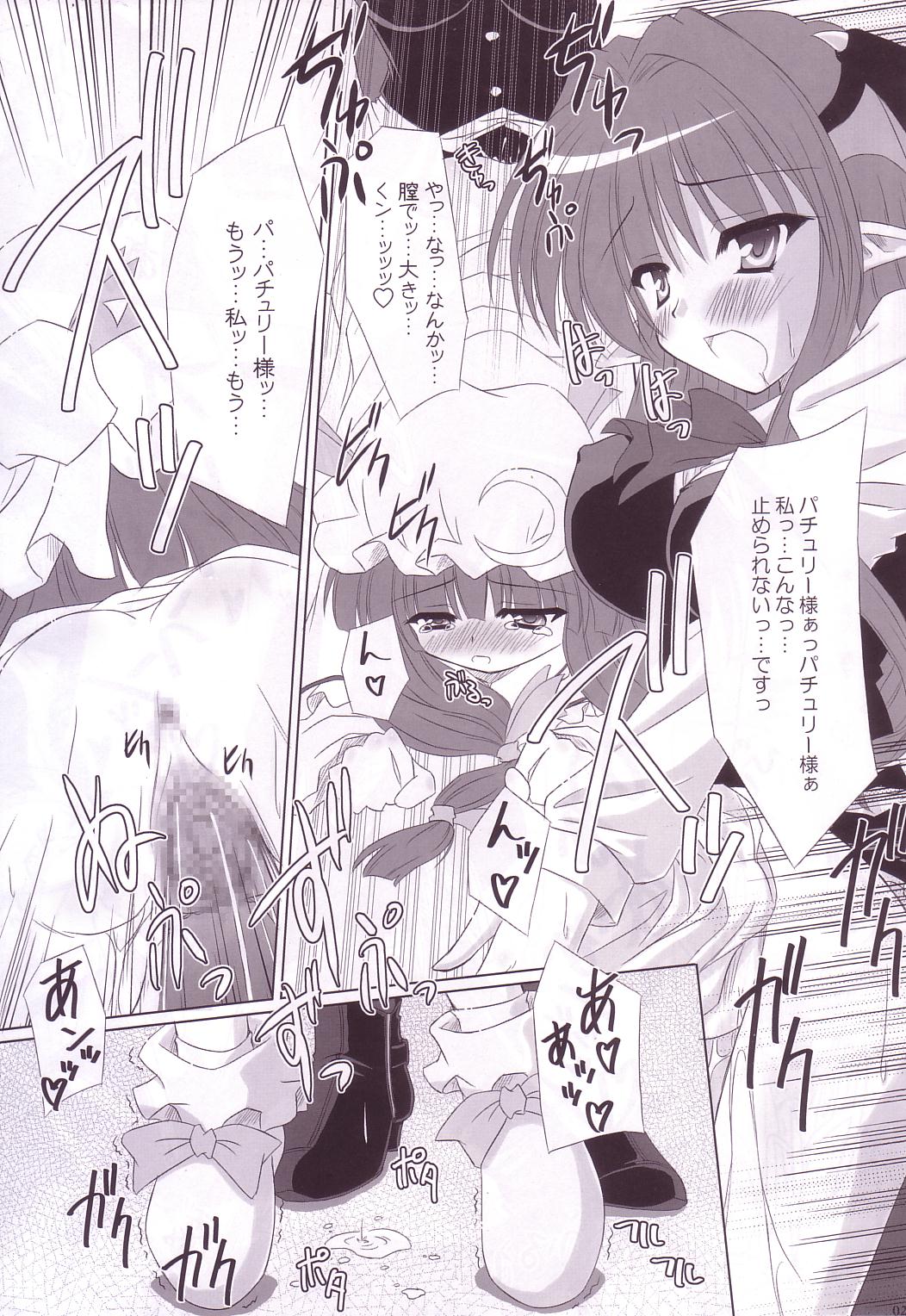 (C74) [Reverse Noise (やむっ)] Lunatic Library (東方Project)